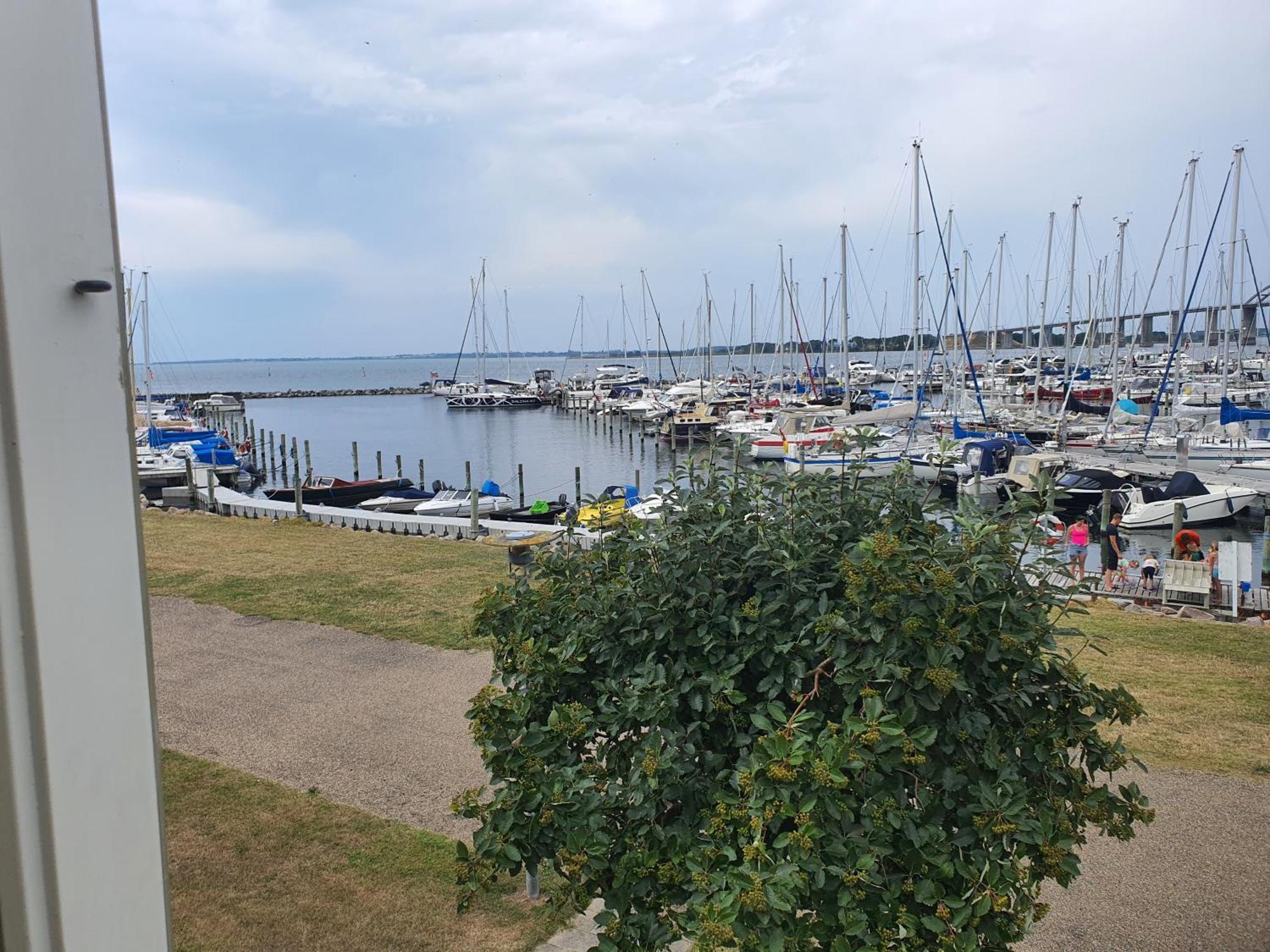 Private Apartment Skudehaven Rudkøbing الغرفة الصورة